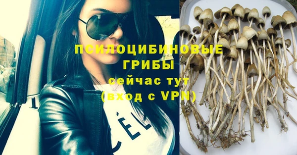 прущая мука Заводоуковск