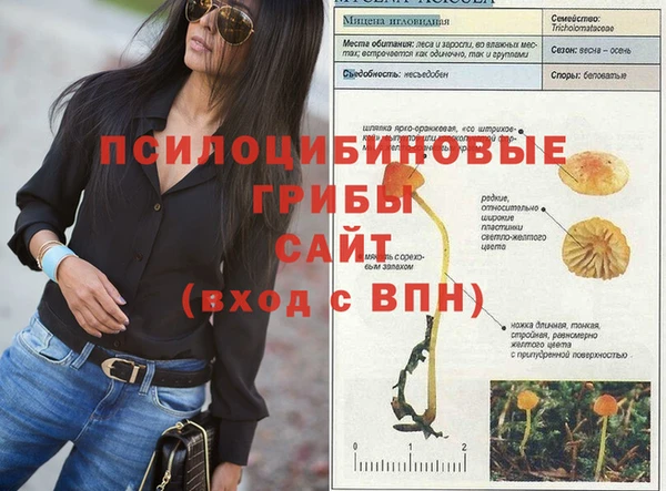твердый Заволжье