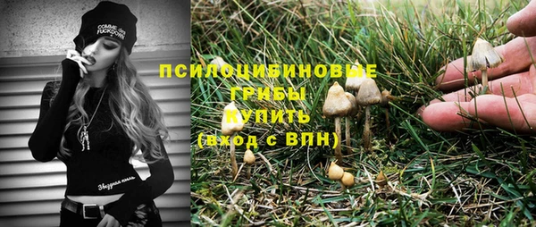 твердый Заволжье