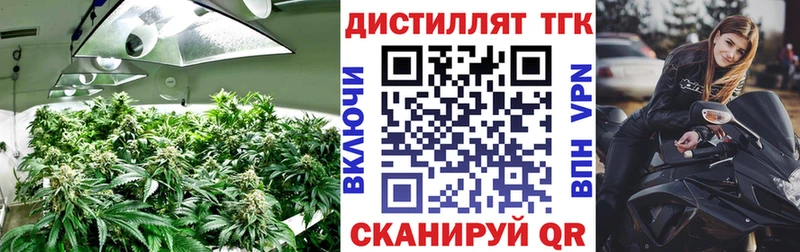 Дистиллят ТГК жижа  Купить закладки  Белоусово 