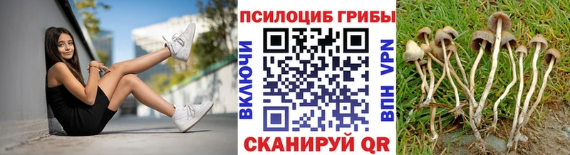 Купить где  Белоусово  Псилоцибиновые грибы мухоморы 